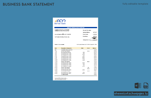 Berhan Bank Geschäftskontoauszug (Beispiel im Word- und PDF-Format)